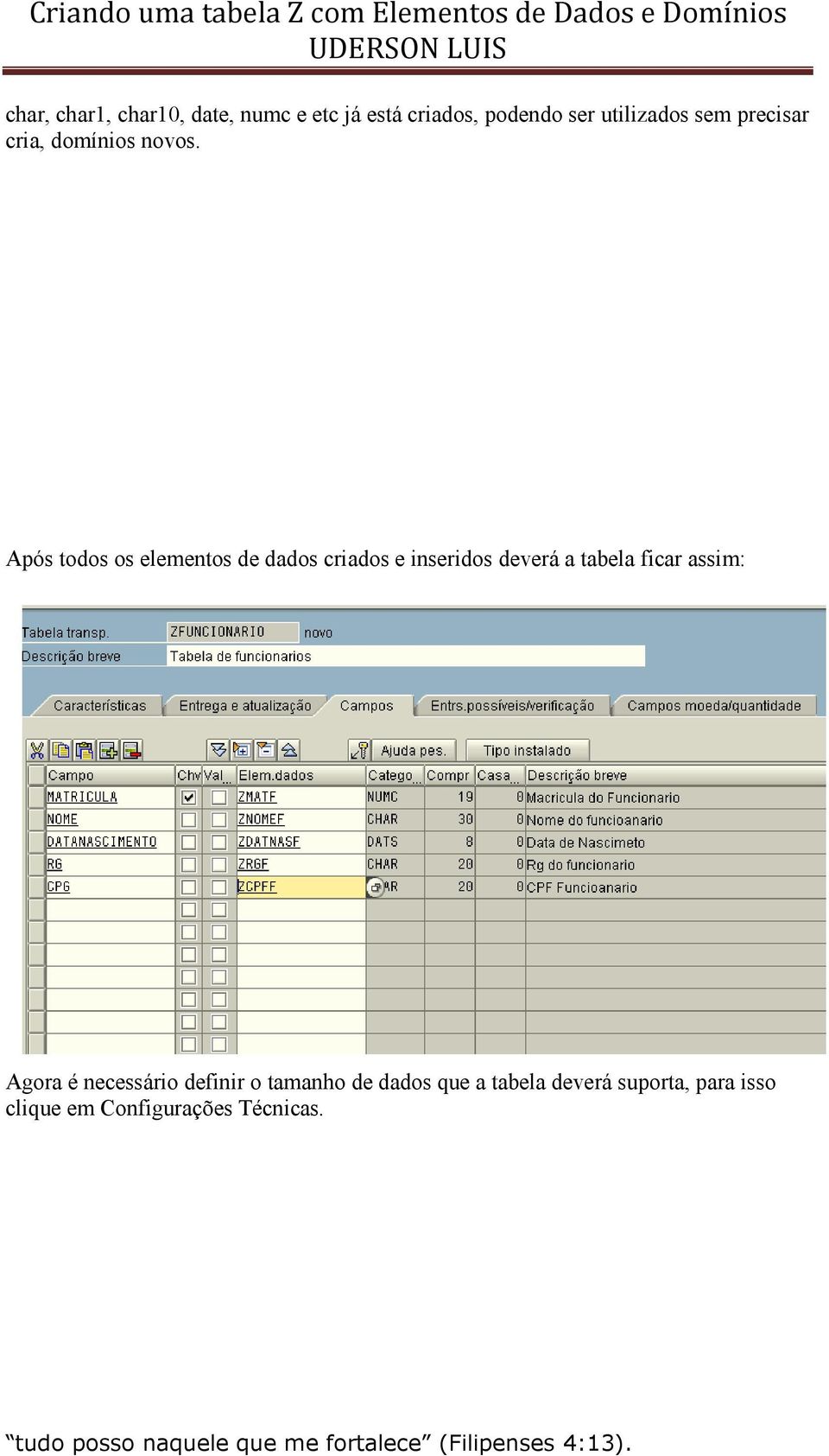 Após todos os elementos de dados criados e inseridos deverá a tabela ficar