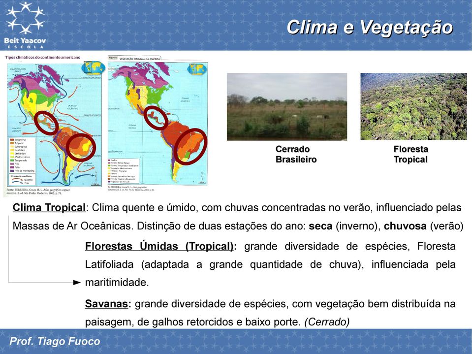 Distinção de duas estações do ano: seca (inverno), chuvosa (verão) Florestas Úmidas (Tropical): grande diversidade de