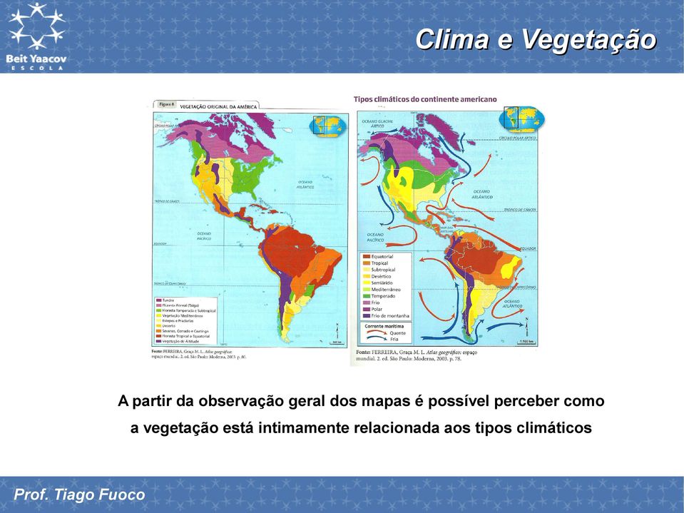 como a vegetação está