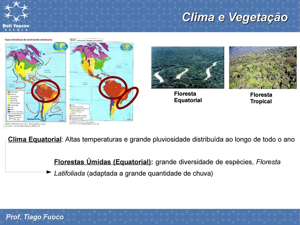 o ano Florestas Úmidas (Equatorial): grande diversidade de