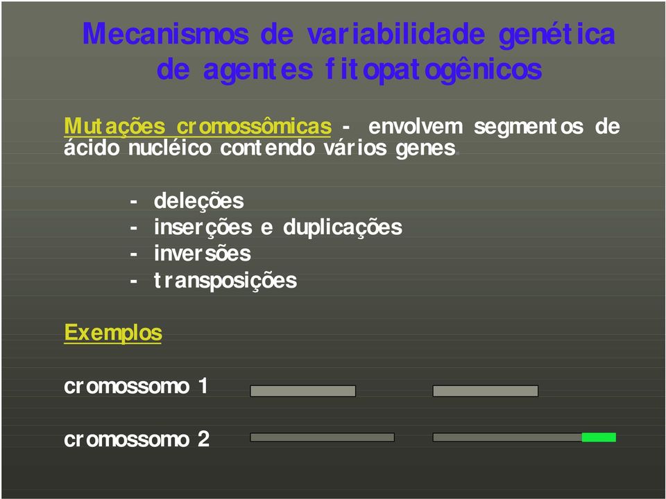 de ácido nucléico contendo vários genes.