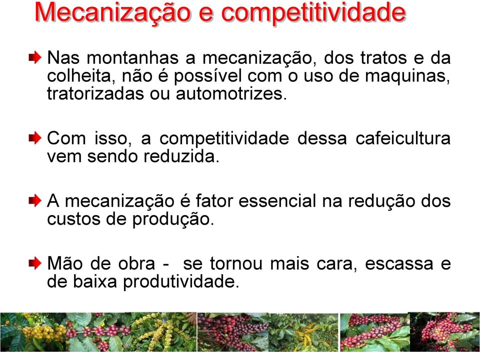 Com isso, a competitividade dessa cafeicultura vem sendo reduzida.