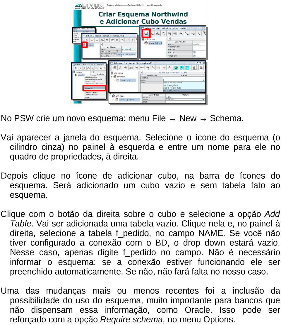 Depois clique no ícone de adicionar cubo, na barra de ícones do esquema. Será adicionado um cubo vazio e sem tabela fato ao esquema.