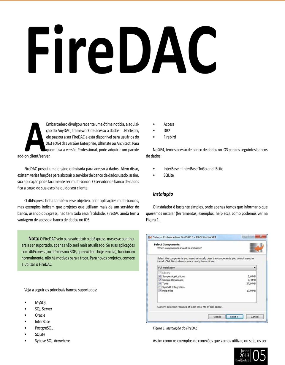 Para quem usa a versão Professional, pode adquirir um pacote add-on client/server. FireDAC possui uma engine otimizada para acesso a dados.