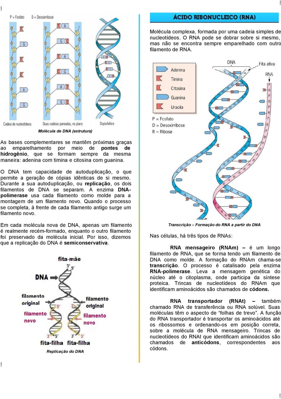 com guanina. O DNA tem capacidade de autoduplicação, o que permite a geração de cópias idênticas de si mesmo. Durante a sua autoduplicação, ou replicação, os dois filamentos de DNA se separam.