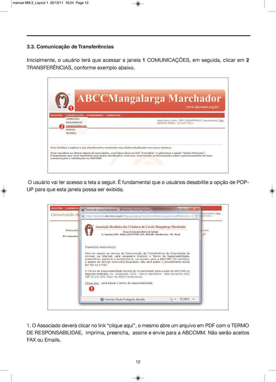 TRANSFERÊNCIAS, conforme exemplo abaixo. O usuário vai ter acesso a tela a seguir.