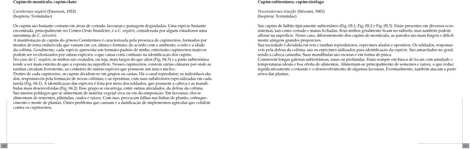 A manifestação de cupins do gênero Cornitermes é caracterizada pela presença de cupinzeiros, formados por montes de terra endurecida que variam em cor, altura e formato, de acordo com o ambiente, o