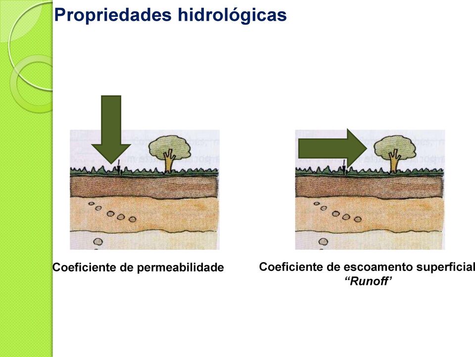 de permeabilidade