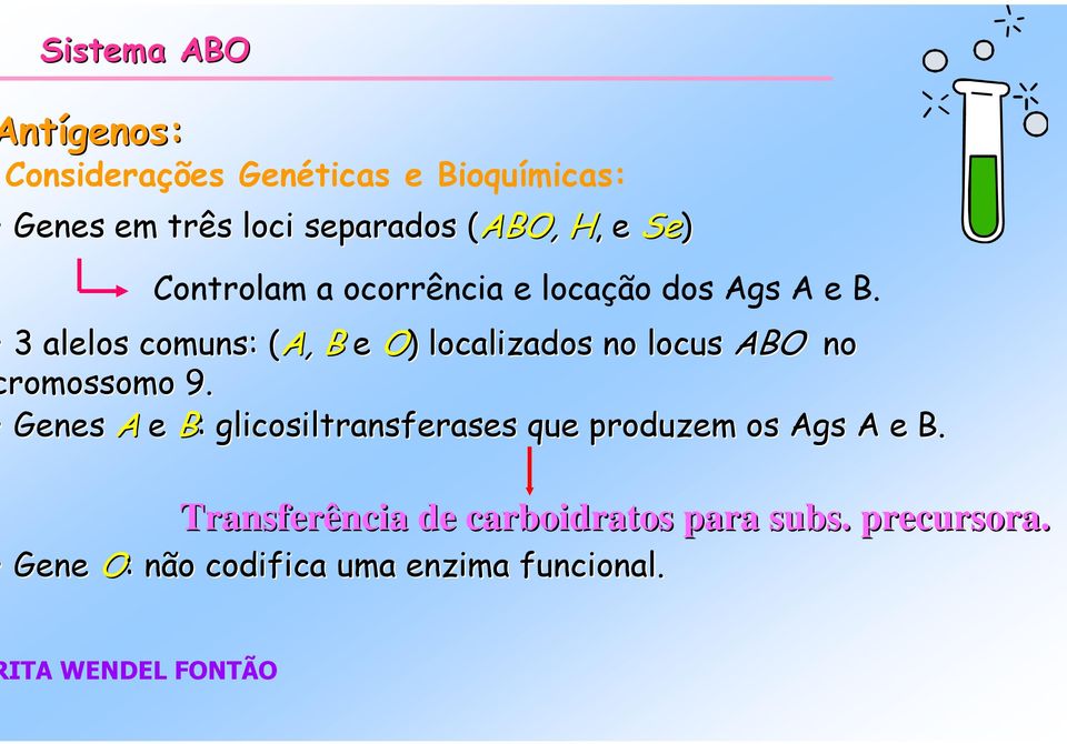 3 alelos comuns: ( (A, B e O) ) localizados no locus ABO no romossomo 9.