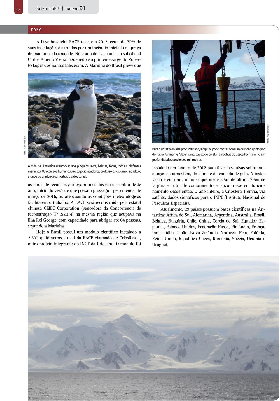 A Marinha do Brasil prevê que Foto: Fábio Magrani A vida na Antártica resume-se aos pinguins, aves, baleias, focas, leões e elefantes marinhos.