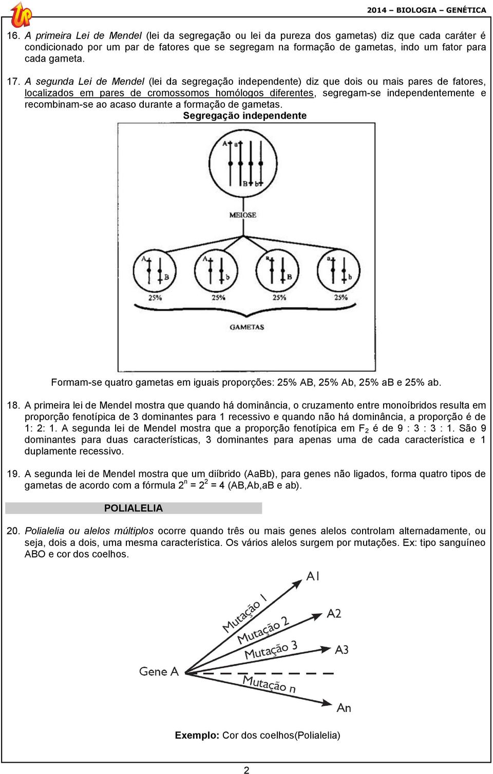 gameta. 17.