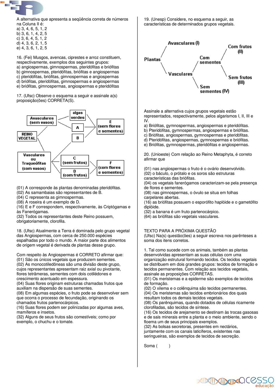 (Fei) Musgos, avencas, ciprestes e arroz constituem, respectivamente, exemplos dos seguintes grupos: a) angiospermas, gimnospermas, pteridófitas e briófitas b) gimnospermas, pteridófitas, briófitas e