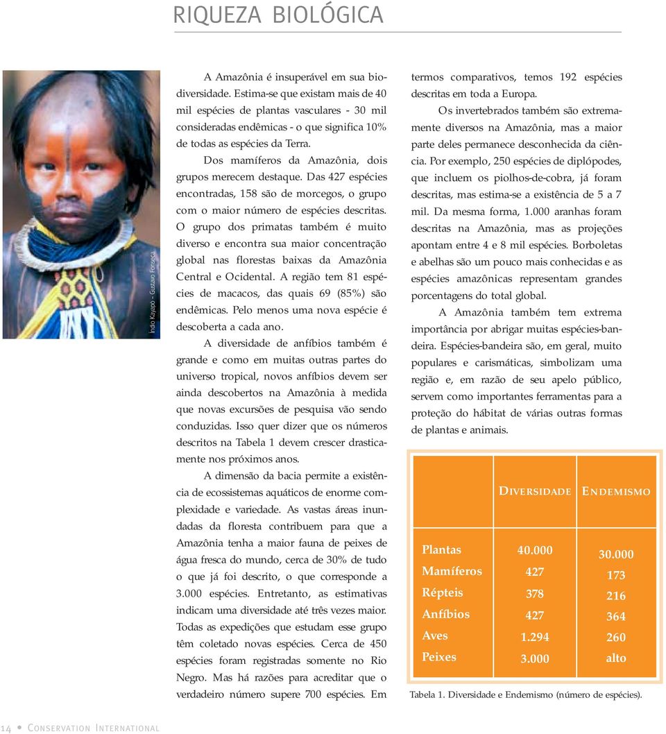 Dos mamíferos da Amazônia, dois grupos merecem destaque. Das 427 espécies encontradas, 158 são de morcegos, o grupo com o maior número de espécies descritas.