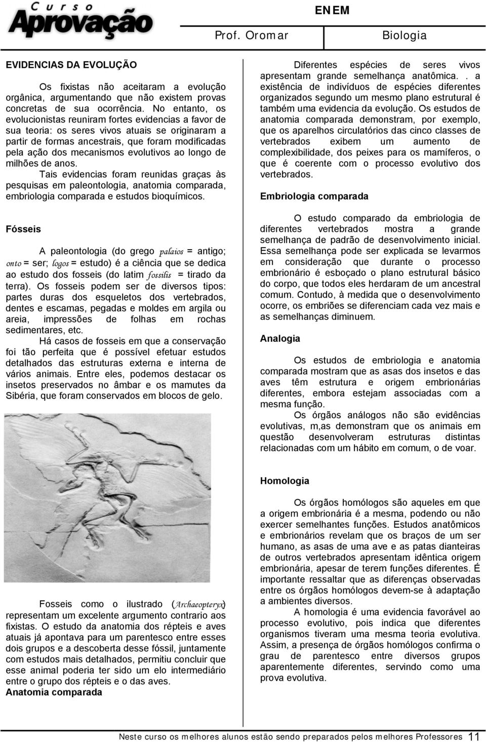 evolutivos ao longo de milhões de anos. Tais evidencias foram reunidas graças às pesquisas em paleontologia, anatomia comparada, embriologia comparada e estudos bioquímicos.