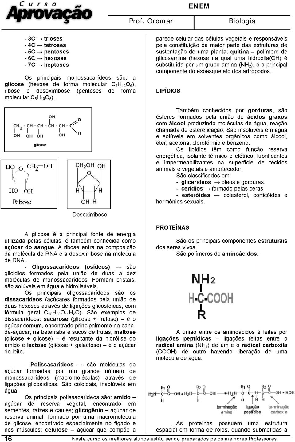 parede celular das células vegetais e responsáveis pela constituição da maior parte das estruturas de sustentação de uma planta; quitina polímero de glicosamina (hexose na qual uma hidroxila(oh) é