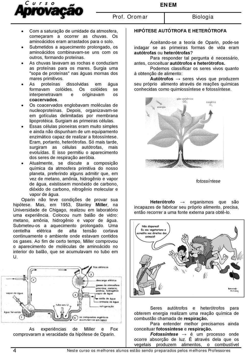 Surgia uma "sopa de proteínas" nas águas mornas dos mares primitivos. As proteínas dissolvidas em água formavam colóides. Os colóides se interpenetravam e originavam os coacervados.