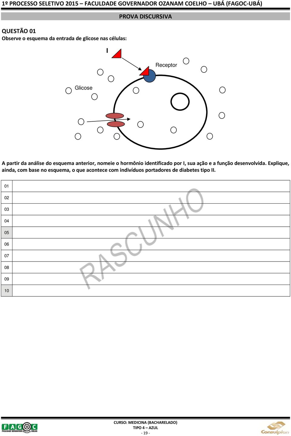 identificado por I, sua ação e a função desenvolvida.