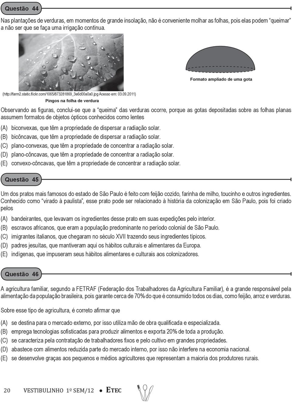 2011) Pingos na folha de verdura Observando as figuras, conclui-se que a queima das verduras ocorre, porque as gotas depositadas sobre as folhas planas assumem formatos de objetos ópticos conhecidos