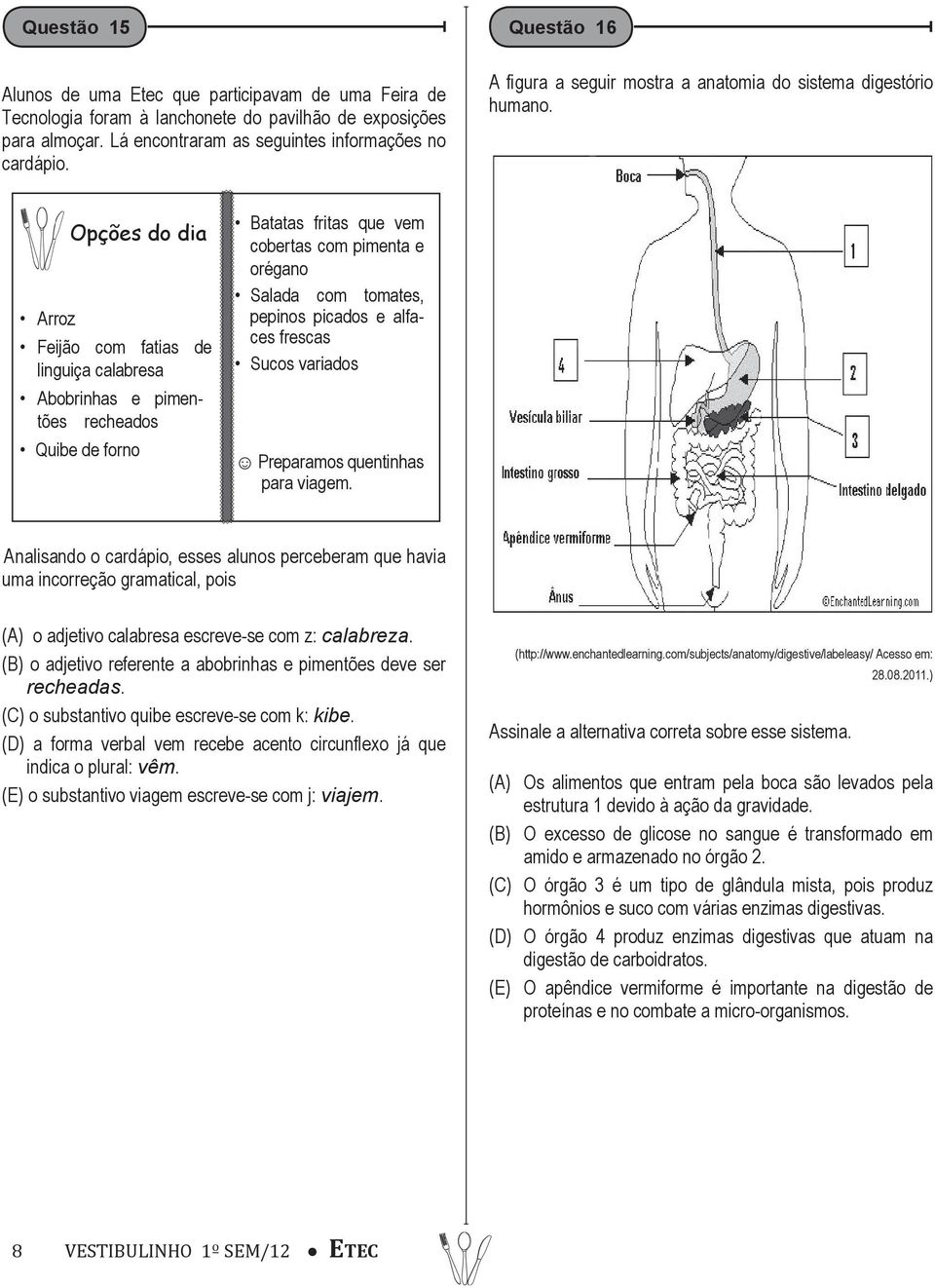 Opções do dia Arroz Feijão com fatias de linguiça calabresa Abobrinhas e pimentões recheados Quibe de forno Batatas fritas que vem cobertas com pimenta e orégano Salada com tomates, pepinos picados e