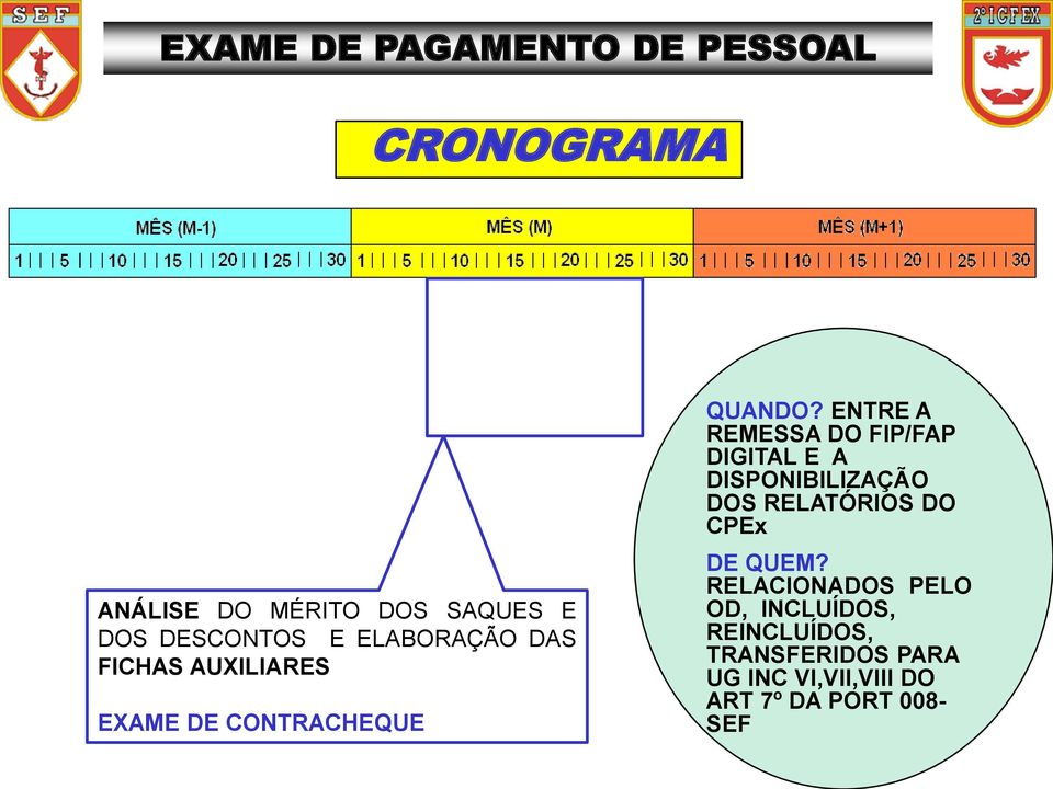 ENTRE A REMESSA DO FIP/FAP DIGITAL E A DISPONIBILIZAÇÃO DOS RELATÓRIOS DO CPEx