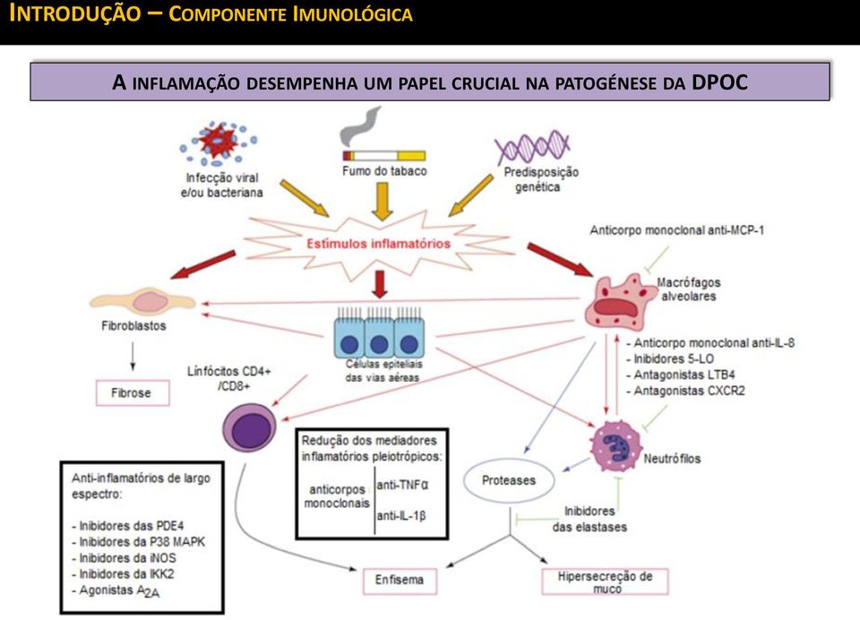 INFLAMAÇÃO DESEMPENHA