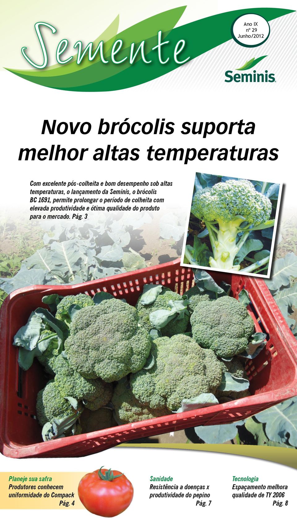 produtividade e ótima qualidade do produto para o mercado. Pág.