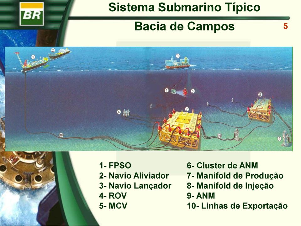 5- MCV 6- Cluster de ANM 7- Manifold de Produção