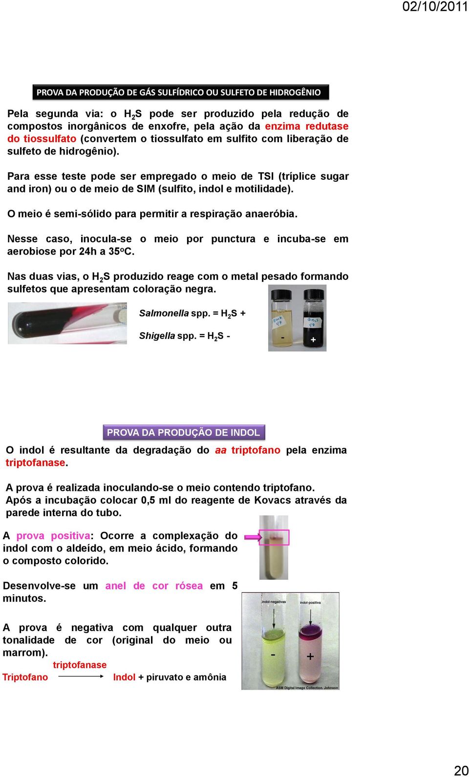 Para esse teste pode ser empregado o meio de TSI (tríplice sugar and iron) ou o de meio de SIM (sulfito, indol e motilidade). O meio é semi-sólido para permitir a respiração anaeróbia.