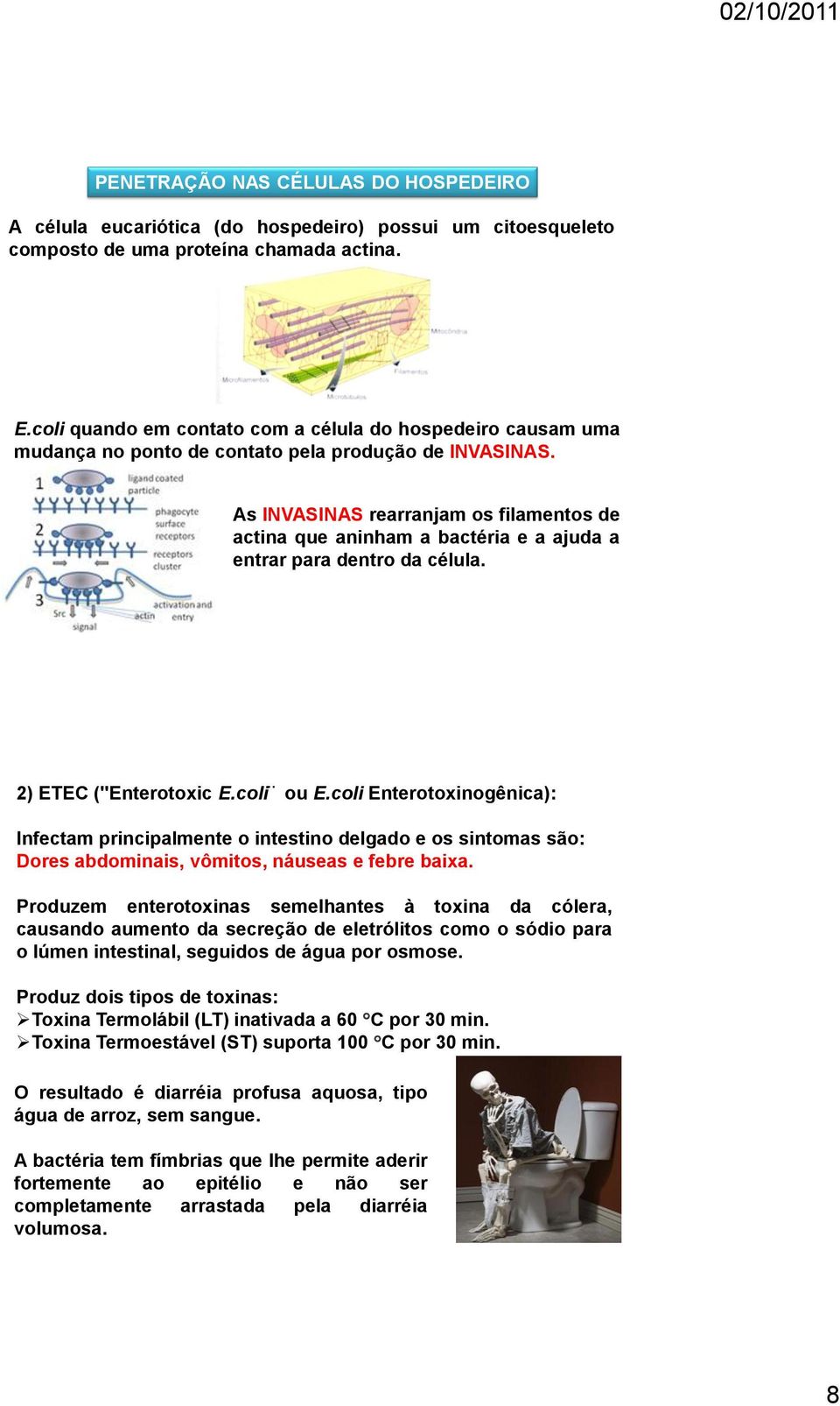 As INVASINAS rearranjam os filamentos de actina que aninham a bactéria e a ajuda a entrar para dentro da célula. 2) ETEC ("Enterotoxic E.coli ou E.