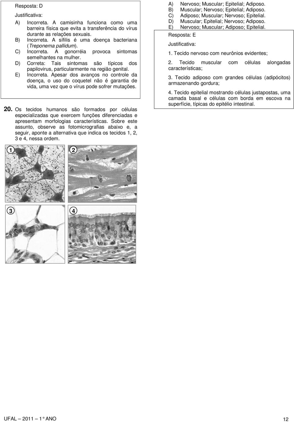 D) Correta: Tais sintomas são típicos dos papilovirus, particularmente na região genital. E) Incorreta.