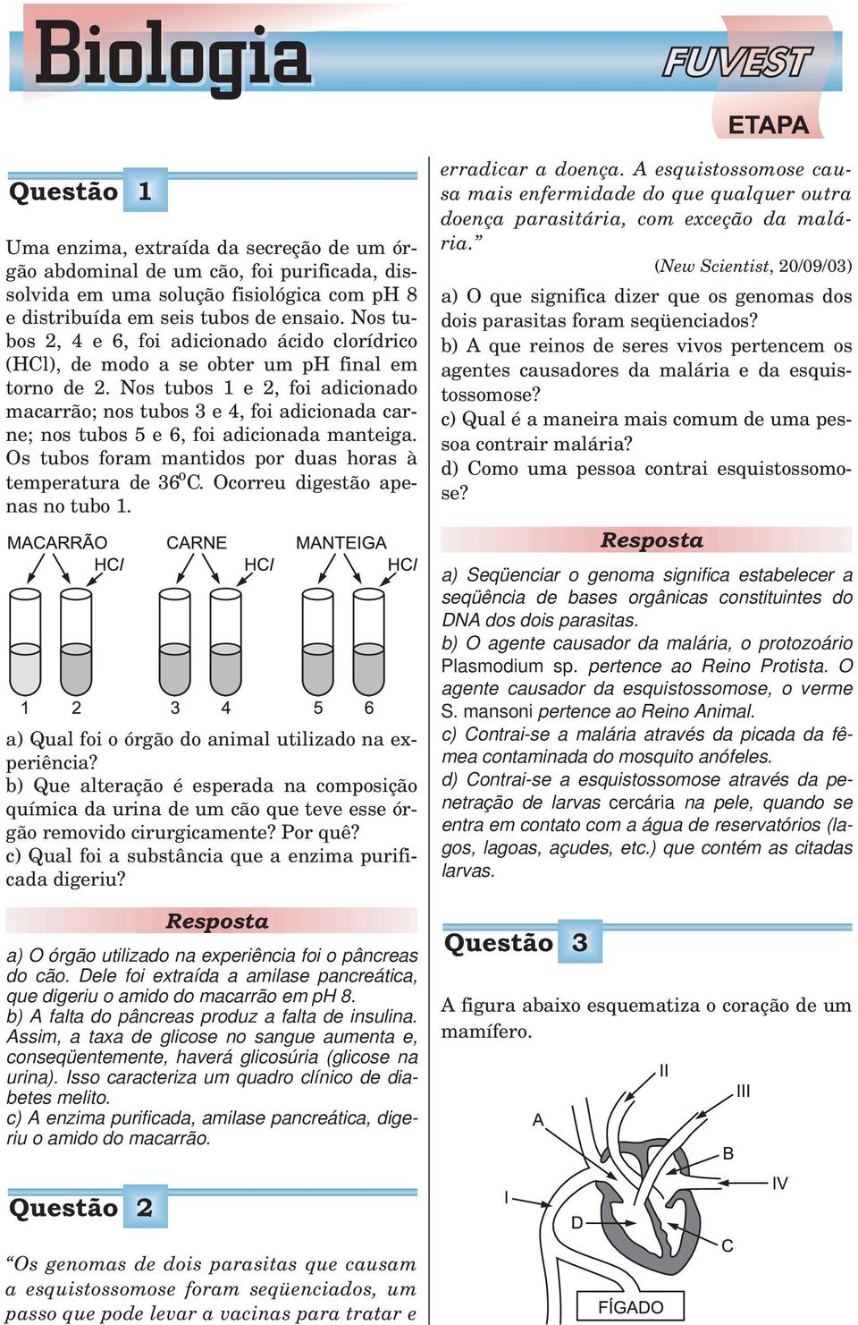 Nos tubos 1 e 2, foi adicionado macarrão; nos tubos 3 e 4, foi adicionada carne; nos tubos 5 e 6, foi adicionada manteiga. Os tubos foram mantidos por duas horas à temperatura de 36 o C.