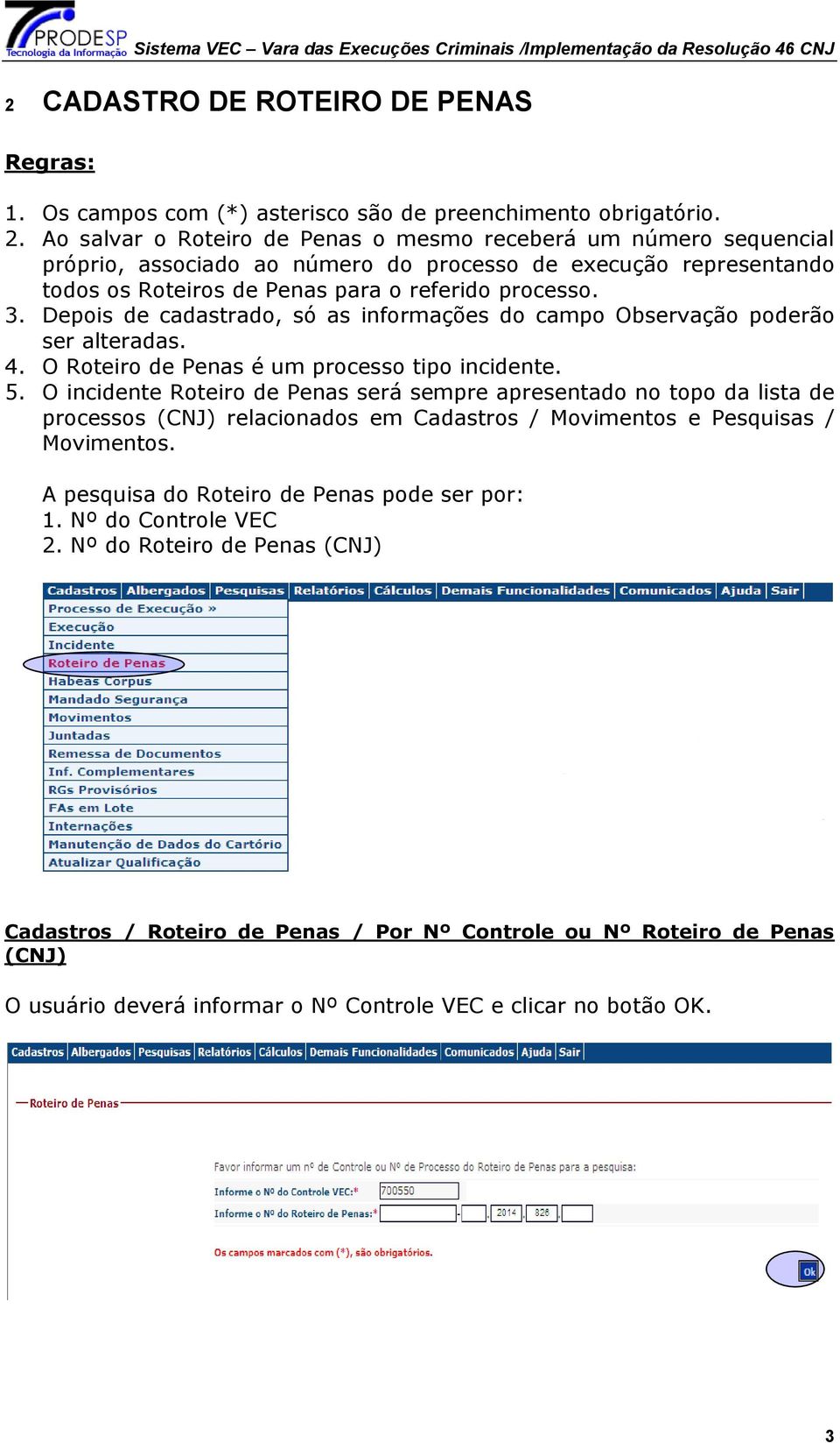 Depois de cadastrado, só as informações do campo Observação poderão ser alteradas. 4. O Roteiro de Penas é um processo tipo incidente. 5.