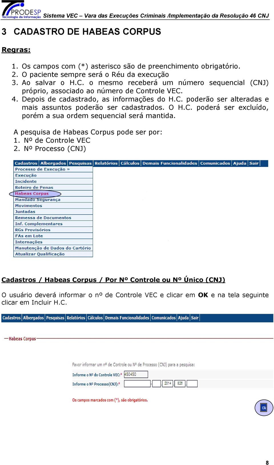 A pesquisa de Habeas Corpus pode ser por: 1. Nº de Controle VEC 2.