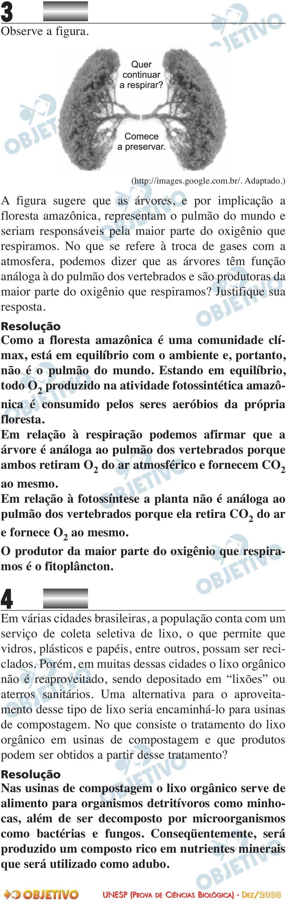 No que se refere à troca de gases com a atmosfera, podemos dizer que as árvores têm função análoga à do pulmão dos vertebrados e são produtoras da maior parte do oxigênio que respiramos?