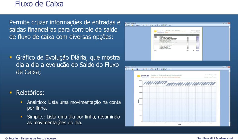 dia a dia a evolução do Saldo do Fluxo de Caixa; Relatórios: Analítico: Lista uma