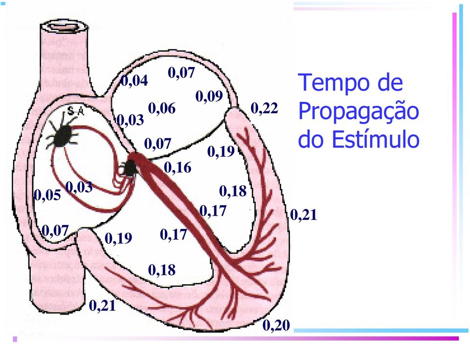 0,17 0,19 0,17 0,22 Tempo de