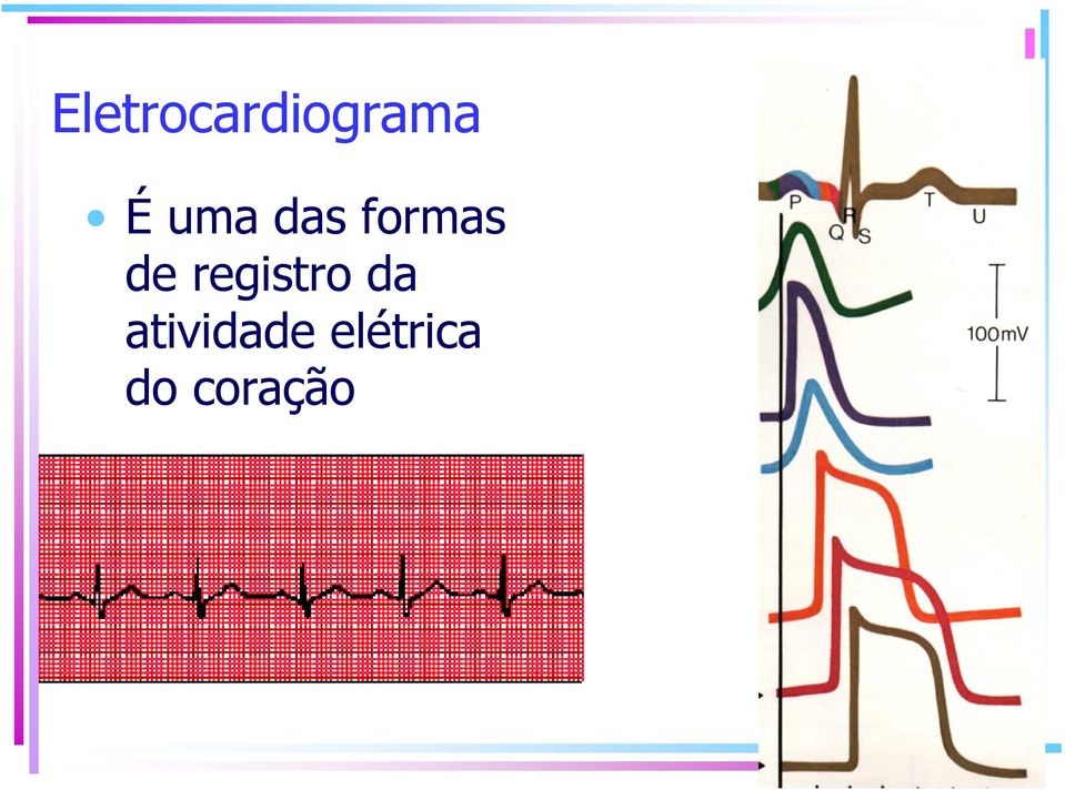 registro da