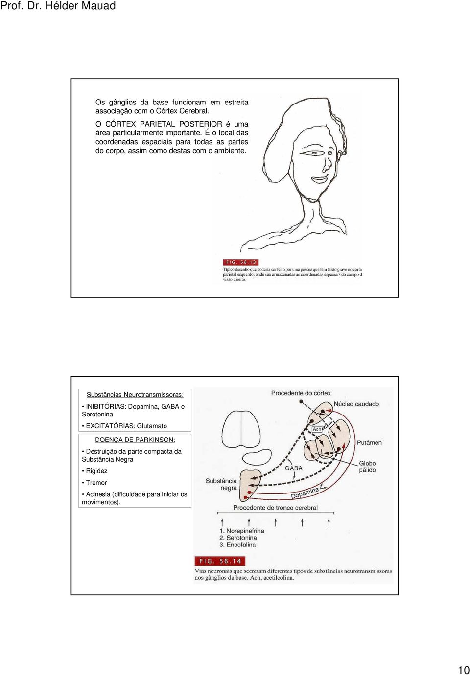 É o local das coordenadas espaciais para todas as partes do corpo, assim como destas com o ambiente.