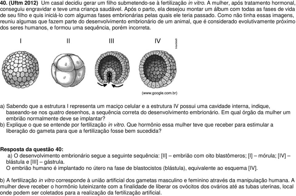 Como não tinha essas imagens, reuniu algumas que fazem parte do desenvolvimento embrionário de um animal, que é considerado evolutivamente próximo dos seres humanos, e formou uma sequência, porém