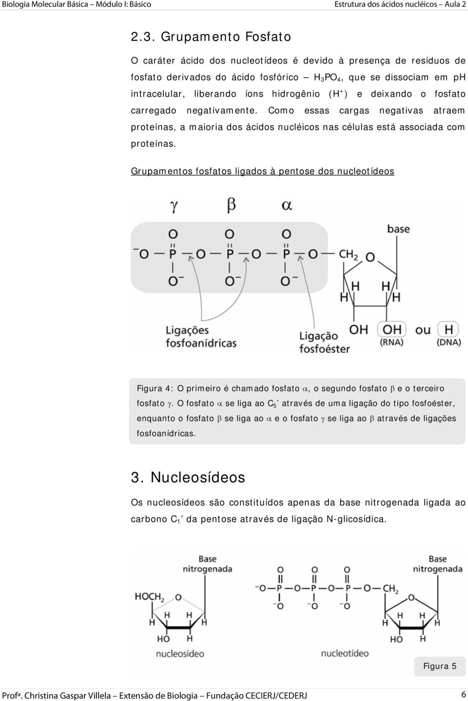 Grupamentos fosfatos ligados à pentose dos nucleotídeos Figura 4: O primeiro é chamado fosfato α, o segundo fosfato β e o terceiro fosfato γ.