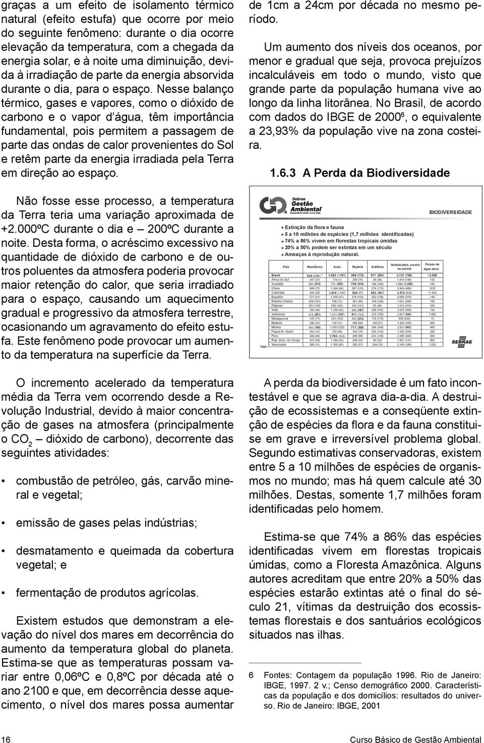 Nesse balanço térmico, gases e vapores, como o dióxido de carbono e o vapor d água, têm importância fundamental, pois permitem a passagem de parte das ondas de calor provenientes do Sol e retêm parte