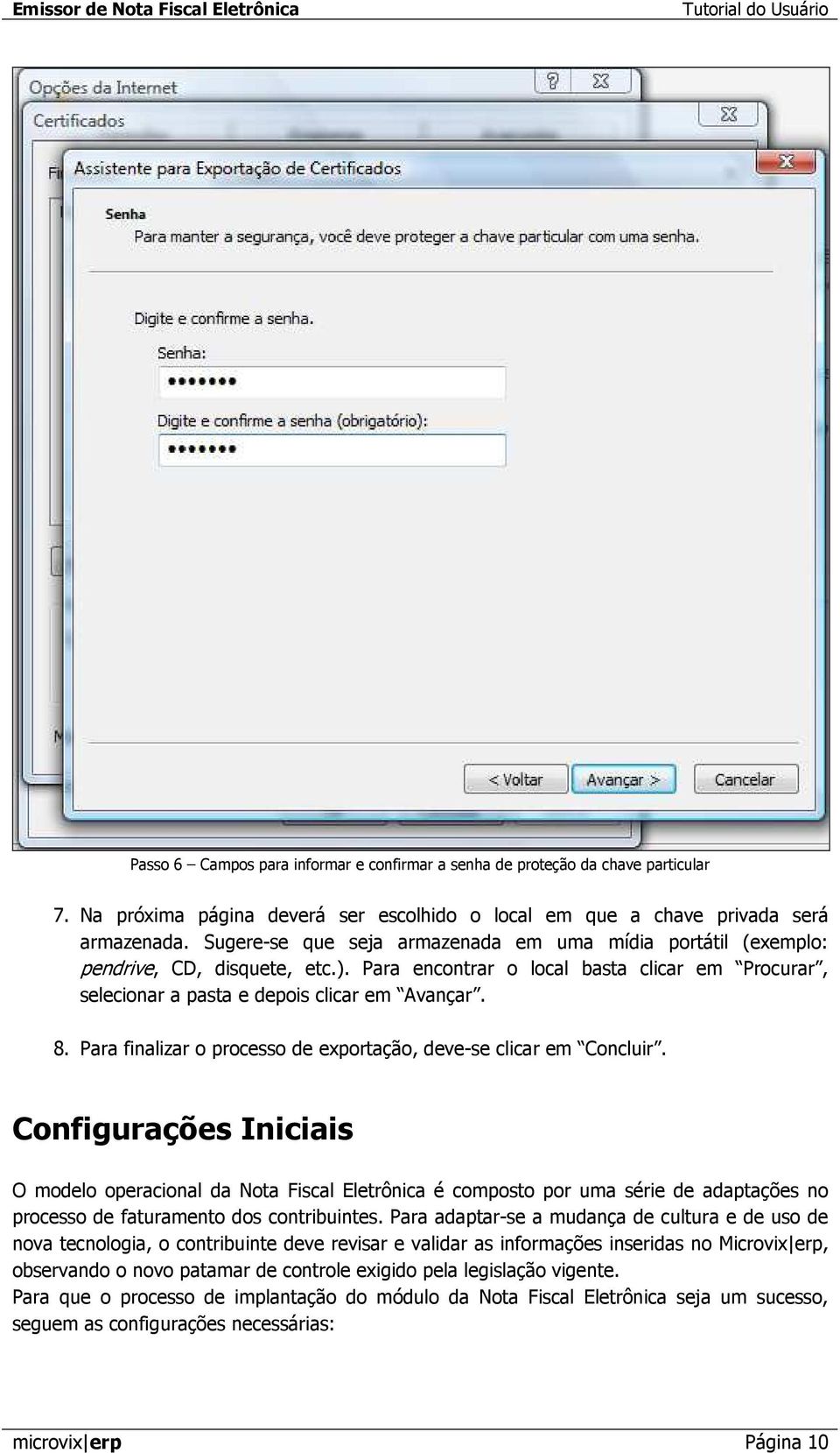 Para finalizar o processo de exportação, deve-se clicar em Concluir.