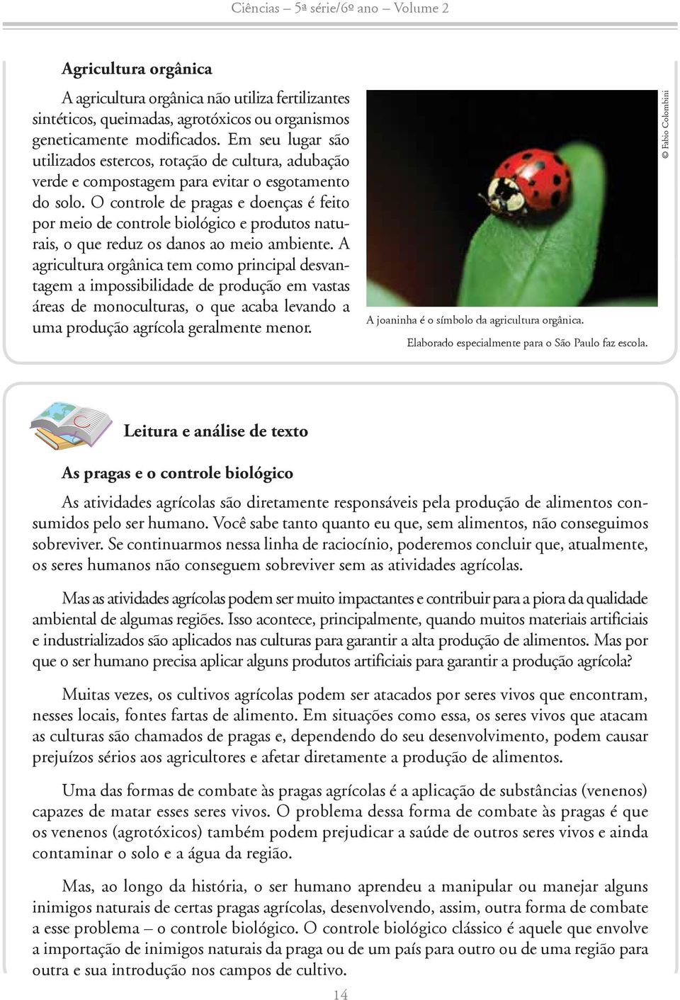 O controle de pragas e doenças é feito por meio de controle biológico e produtos naturais, o que reduz os danos ao meio ambiente.