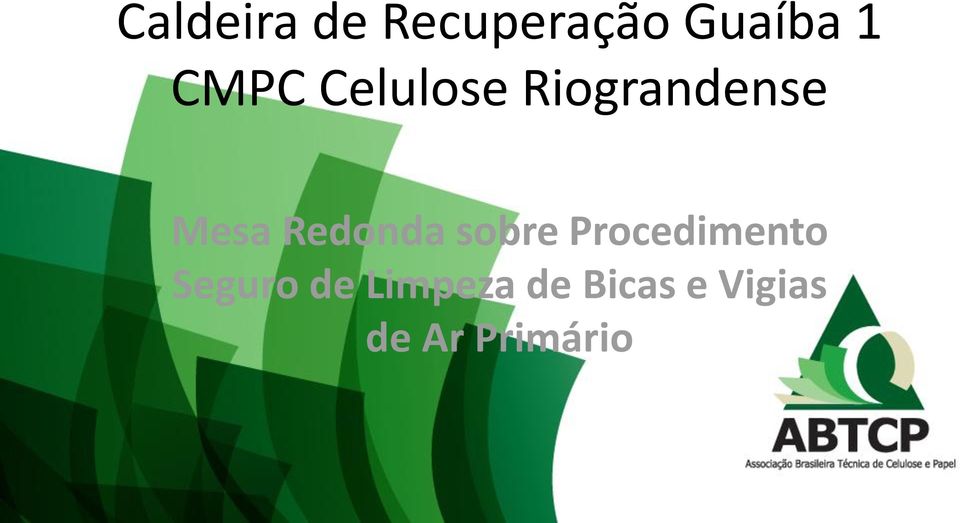 Redonda sobre Procedimento Seguro