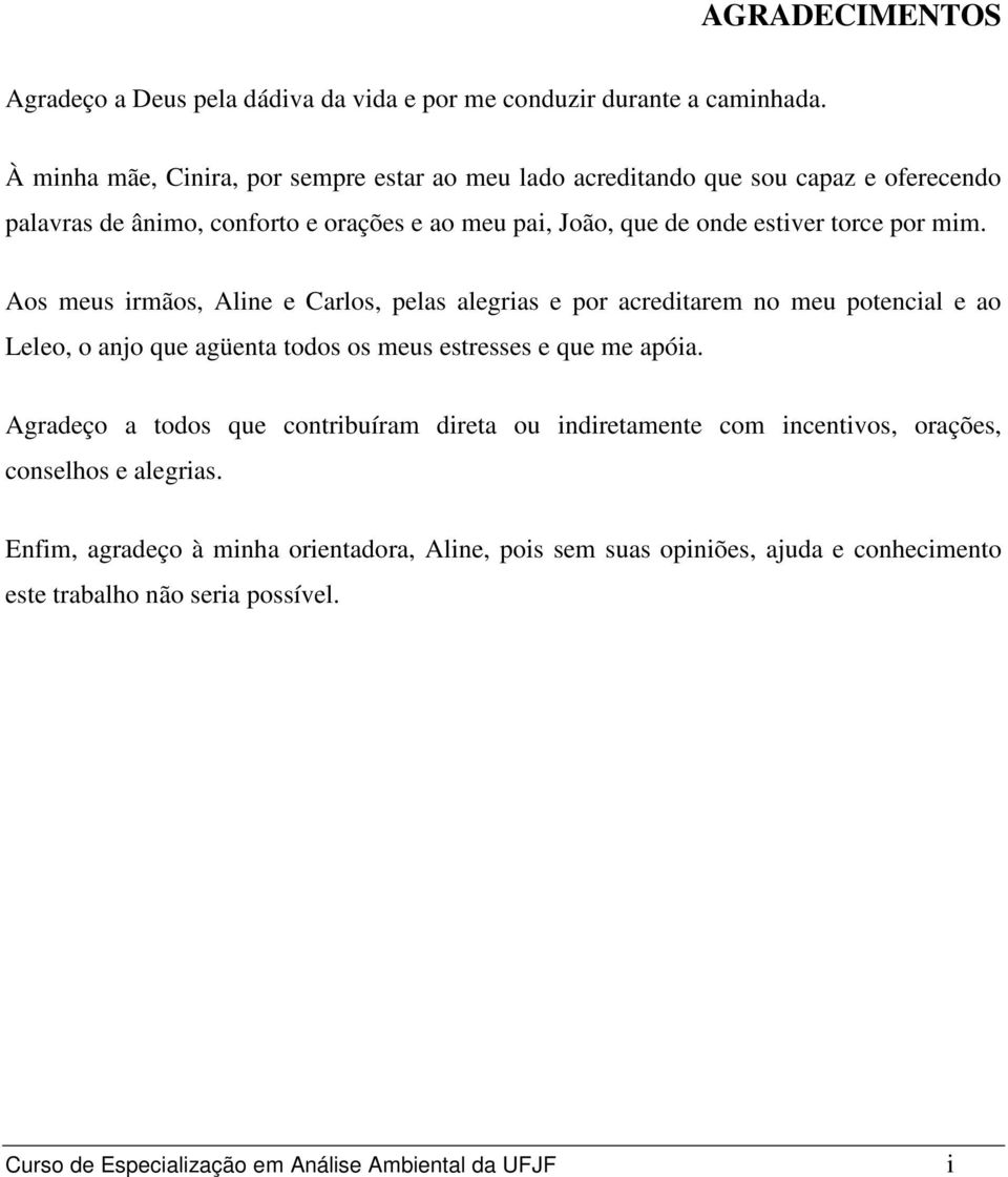 mim. Aos meus irmãos, Aline e Carlos, pelas alegrias e por acreditarem no meu potencial e ao Leleo, o anjo que agüenta todos os meus estresses e que me apóia.