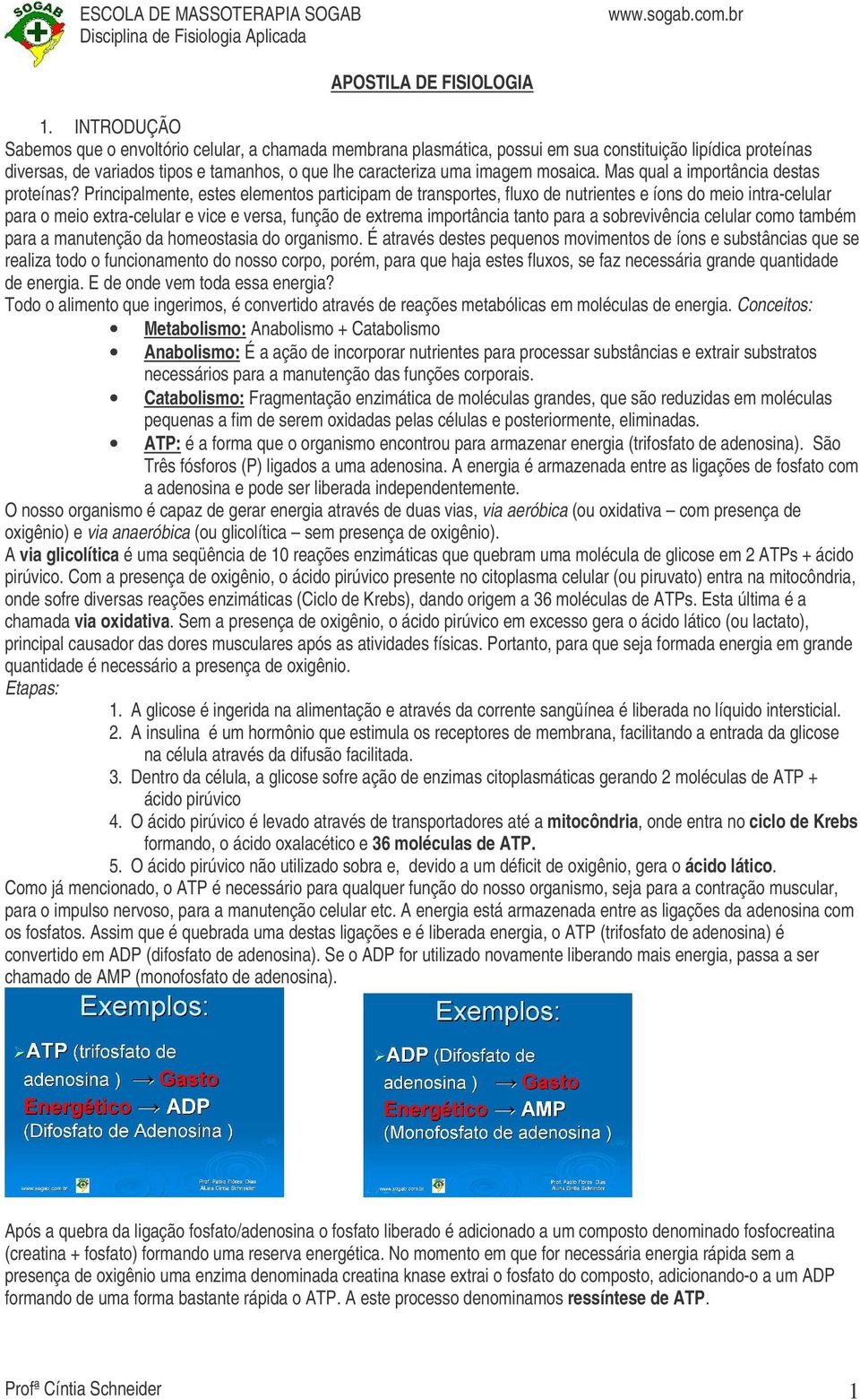 mosaica. Mas qual a importância destas proteínas?