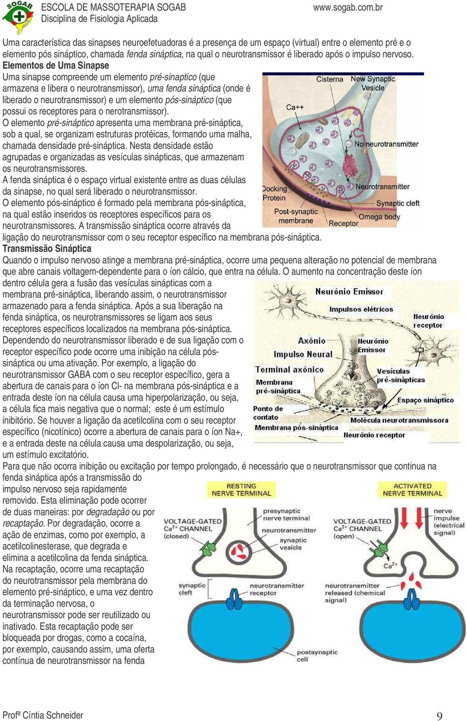 Elementos de Uma Sinapse Uma sinapse compreende um elemento pré-sinaptico (que armazena e libera o neurotransmissor), uma fenda sináptica (onde é liberado o neurotransmissor) e um elemento