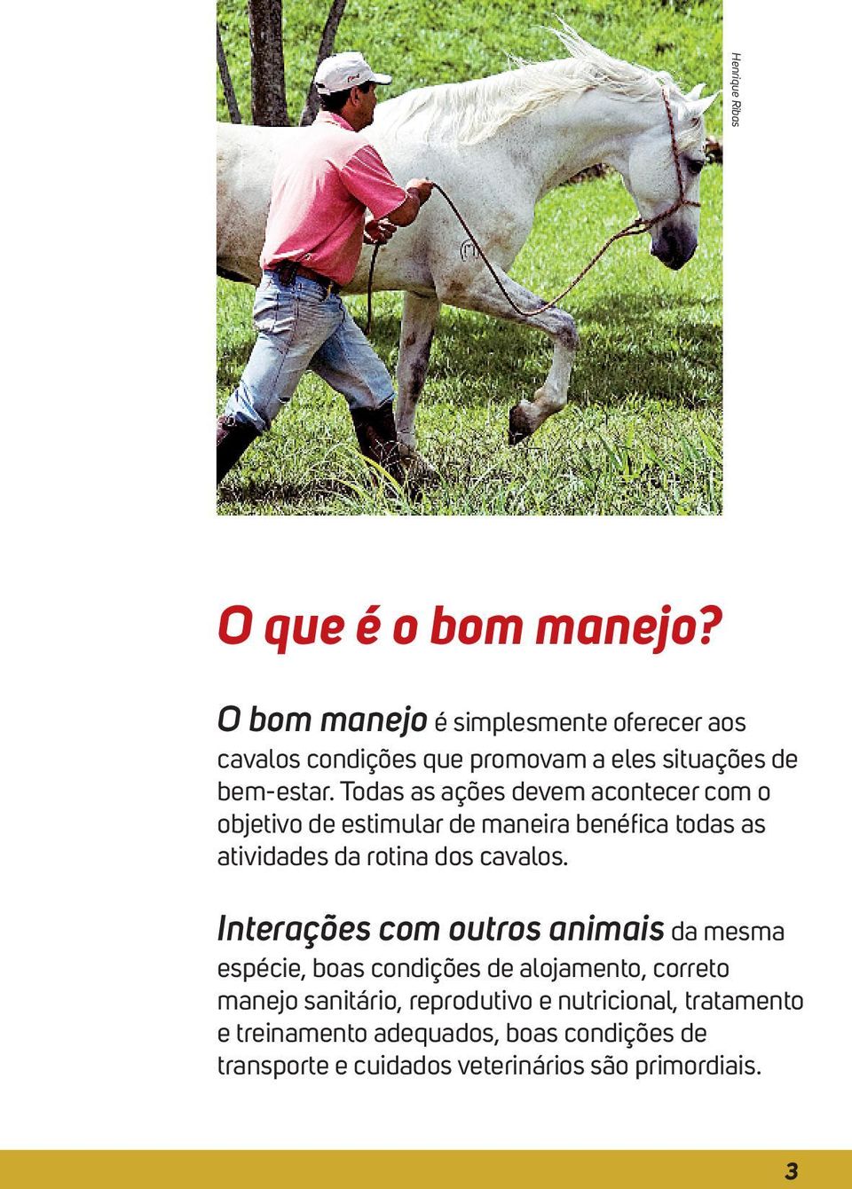 Todas as ações devem acontecer com o objetivo de estimular de maneira benéfica todas as atividades da rotina dos cavalos.