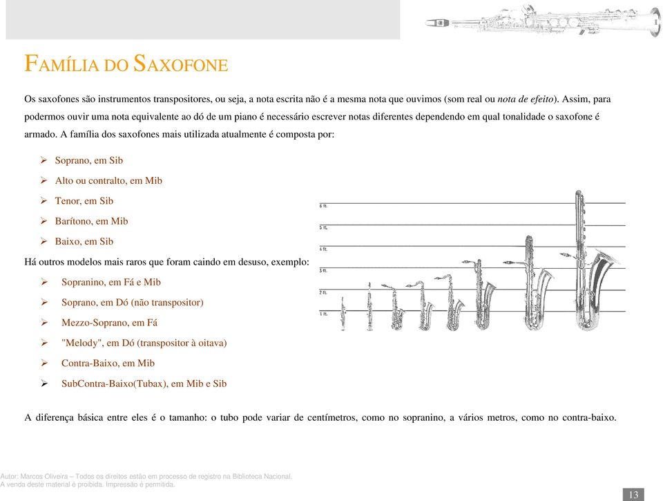 A família dos saxofones mais utilizada atualmente é composta por: Soprano, em Sib Alto ou contralto, em Mib Tenor, em Sib Barítono, em Mib Baixo, em Sib Há outros modelos mais raros que foram caindo