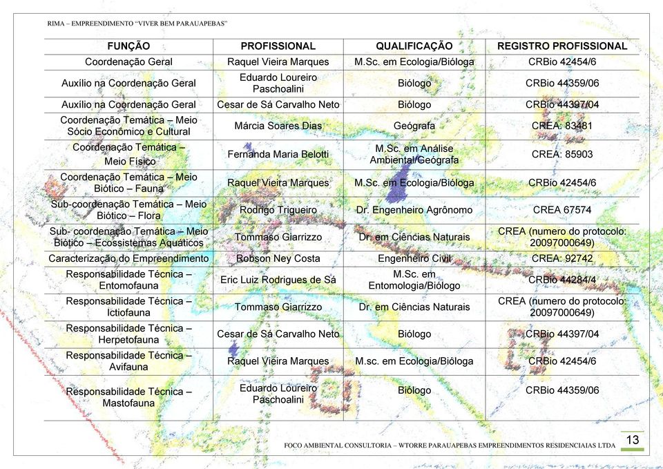 Coordenação Temática Meio Sócio Econômico e Cultural Coordenação Temática Meio Físico Coordenação Temática Meio Biótico Fauna Sub-coordenação Temática Meio Biótico Flora Sub- coordenação Temática